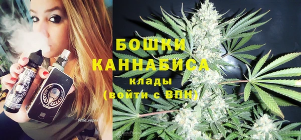 ПСИЛОЦИБИНОВЫЕ ГРИБЫ Ельня