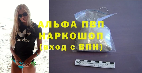 ПСИЛОЦИБИНОВЫЕ ГРИБЫ Ельня