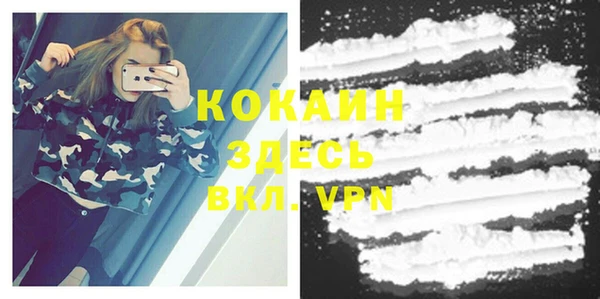 ПСИЛОЦИБИНОВЫЕ ГРИБЫ Ельня